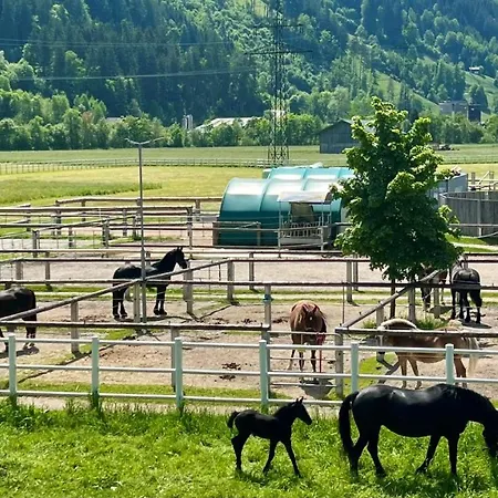 Rosa-panorama App Apartment *