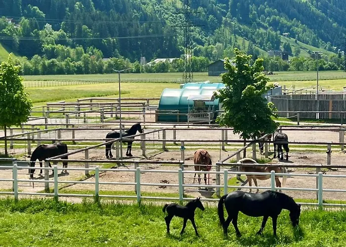 Rosa-panorama App Apartamento *