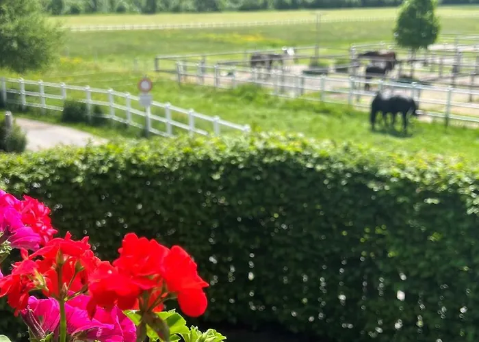 Apartamento Rosa-panorama App